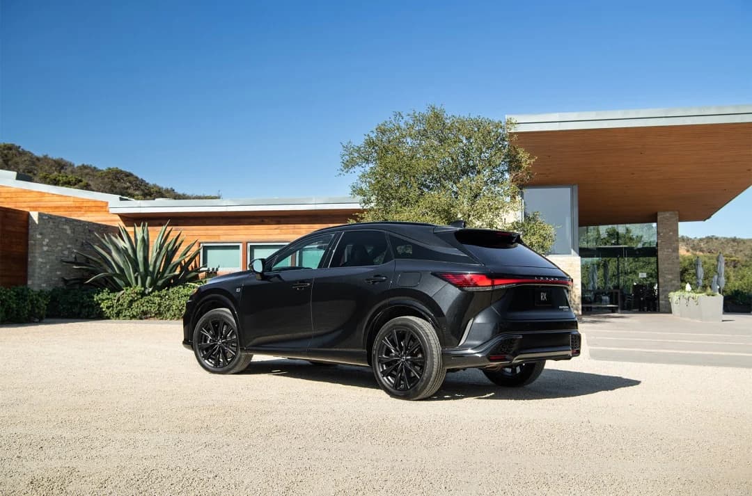 Wisdom Limos - Black Lexus RX luxury vehicle